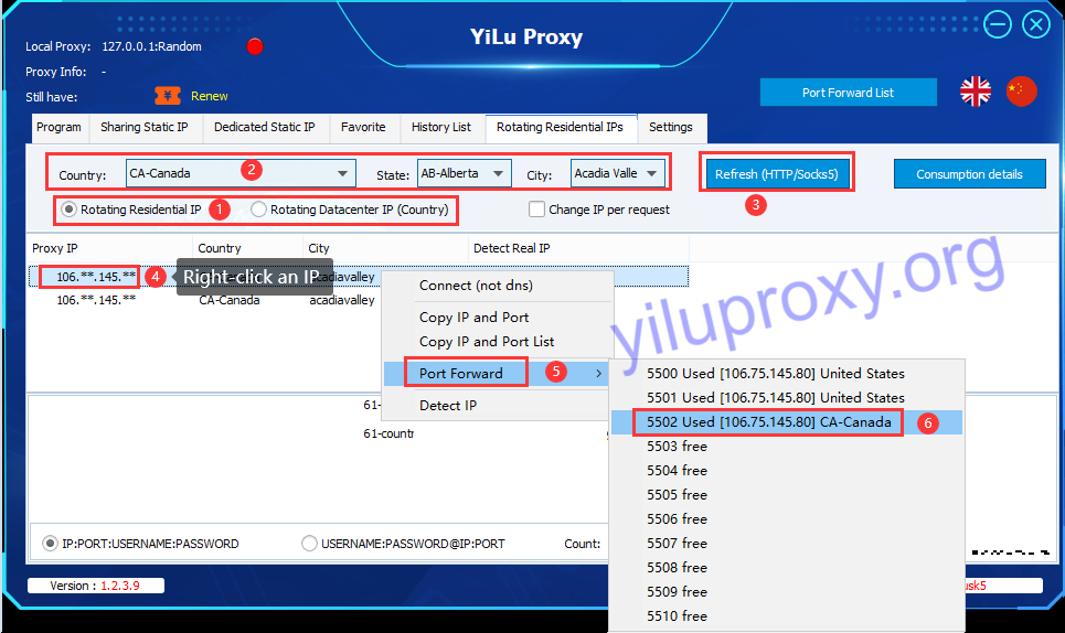 residential ip multi ports forwarding