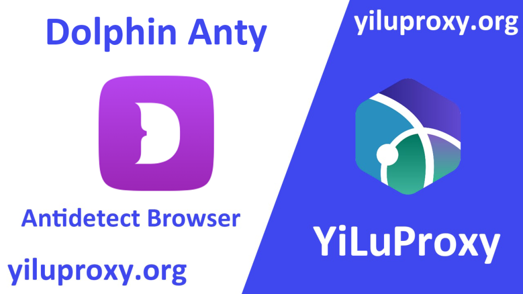Dolphin anty with YiluProxy