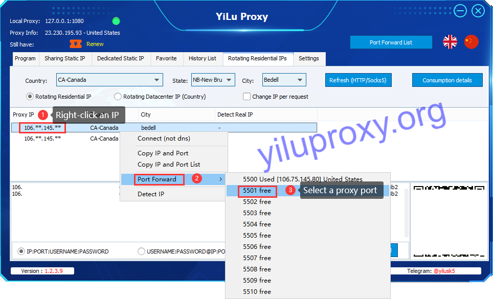 dolphin anty multi-port forwarding for rotating residential ip connection