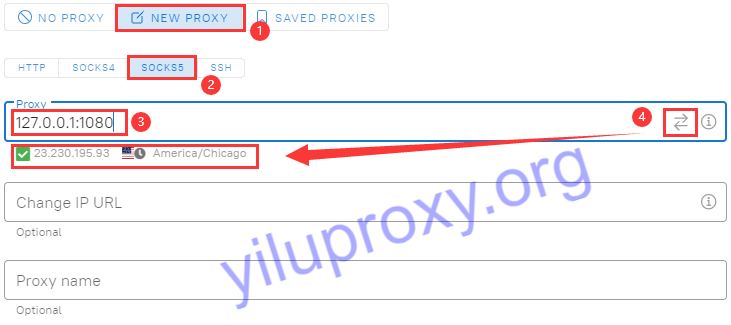 Proxy information ip and port setting in Dolphin Anty browser.