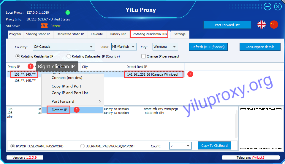 check real ip address