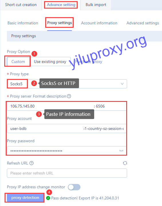 Morelogin paste ip port