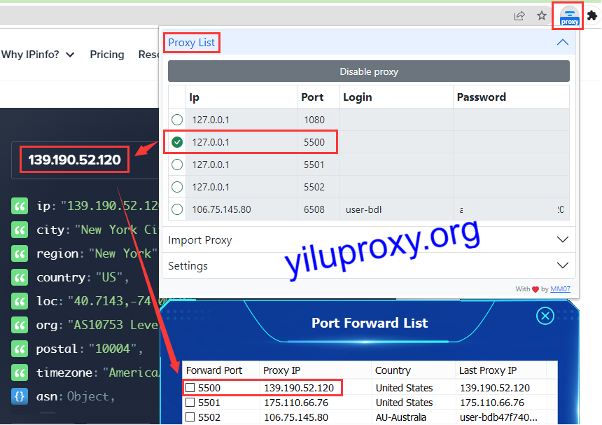 simple proxy check ip